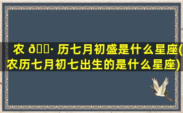 农 🌷 历七月初盛是什么星座(农历七月初七出生的是什么星座)